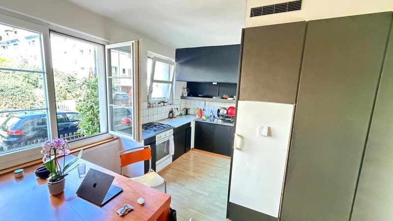 Delizioso appartamento di 3,5 locali a Zurigo (2)