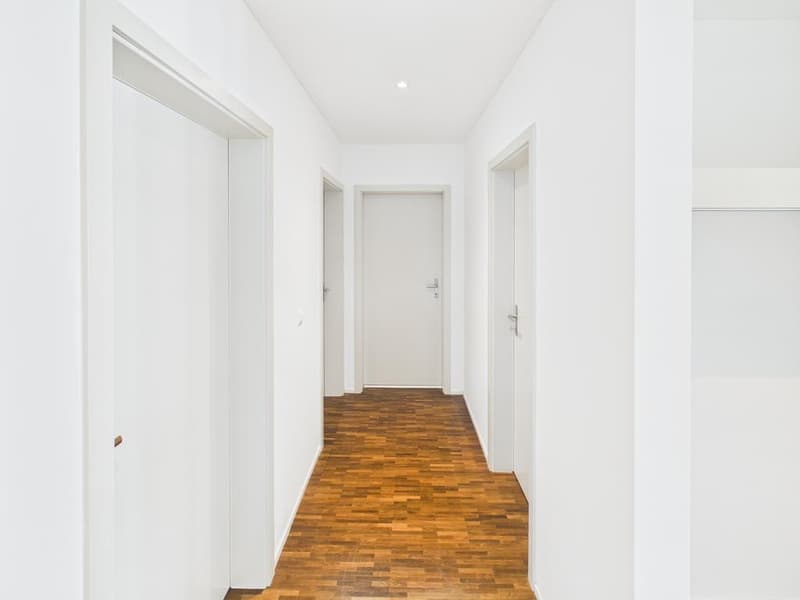 Appartement 3.5 pièces avec salle de bain neuve et balcon à Glattpark (2)