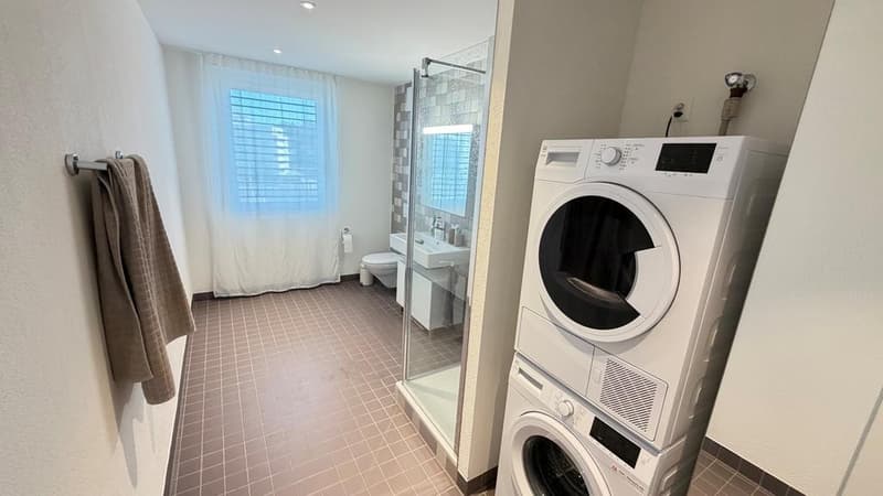 Modern 2.5 room attic apartment in Oerlikon (5)
