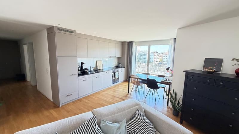 Modern 2.5 room attic apartment in Oerlikon (3)