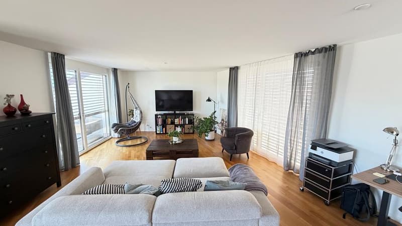 Modern 2.5 room attic apartment in Oerlikon (2)
