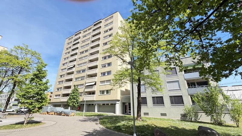 Spacious 4.5-room apartment on the 11th floor (1)