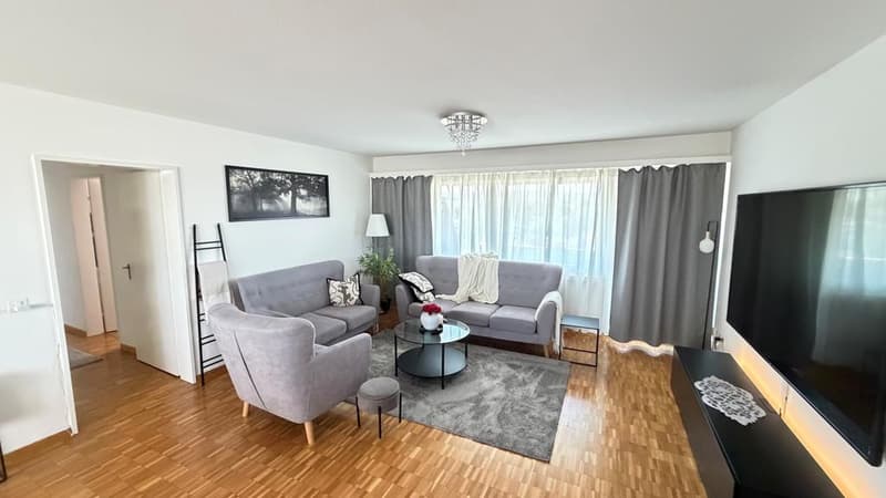 Spacious 4.5-room apartment on the 11th floor (7)