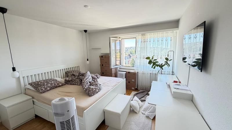 Spacious 4.5-room apartment on the 11th floor (3)
