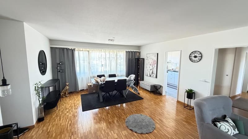 Spacious 4.5-room apartment on the 11th floor (8)