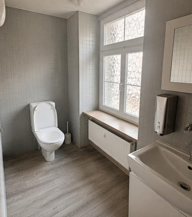 Espace de bureau inondé de lumière avec 3 pièces sur Limmatplatz (6)