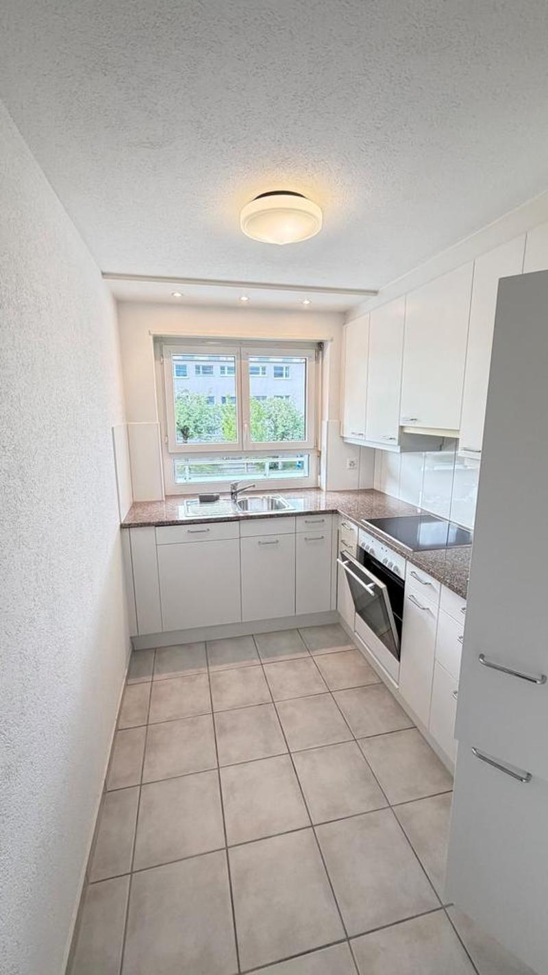 Charming renovated 4-room apartment in a green area (3)