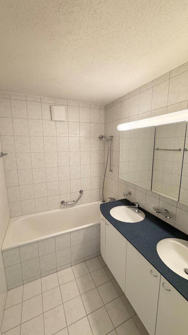 Charming renovated 4-room apartment in a green area (4)
