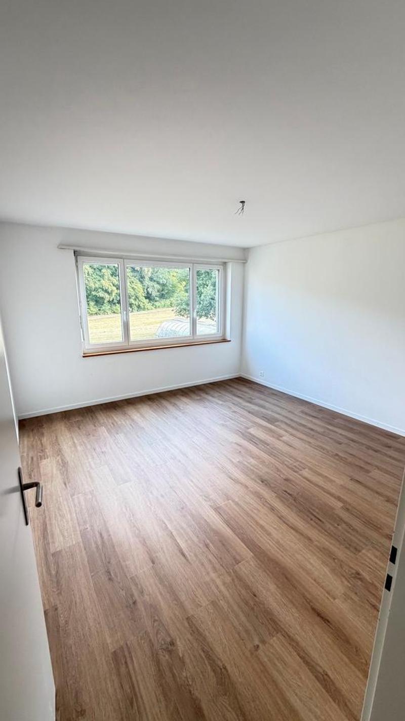Charming renovated 4-room apartment in a green area (5)