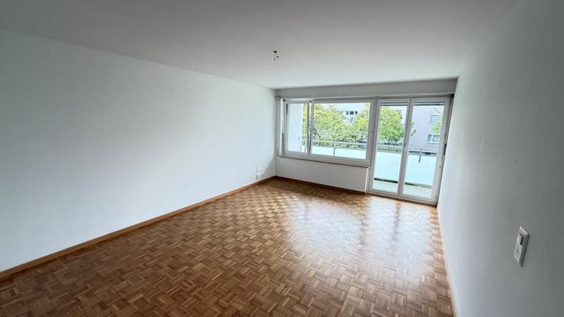 Charming renovated 4-room apartment in a green area (7)