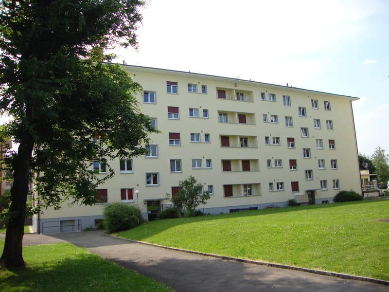 2.5 Zimmerwohnung in Uster (1)