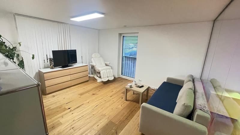 Modernes Büro in Bäch SZ (1)