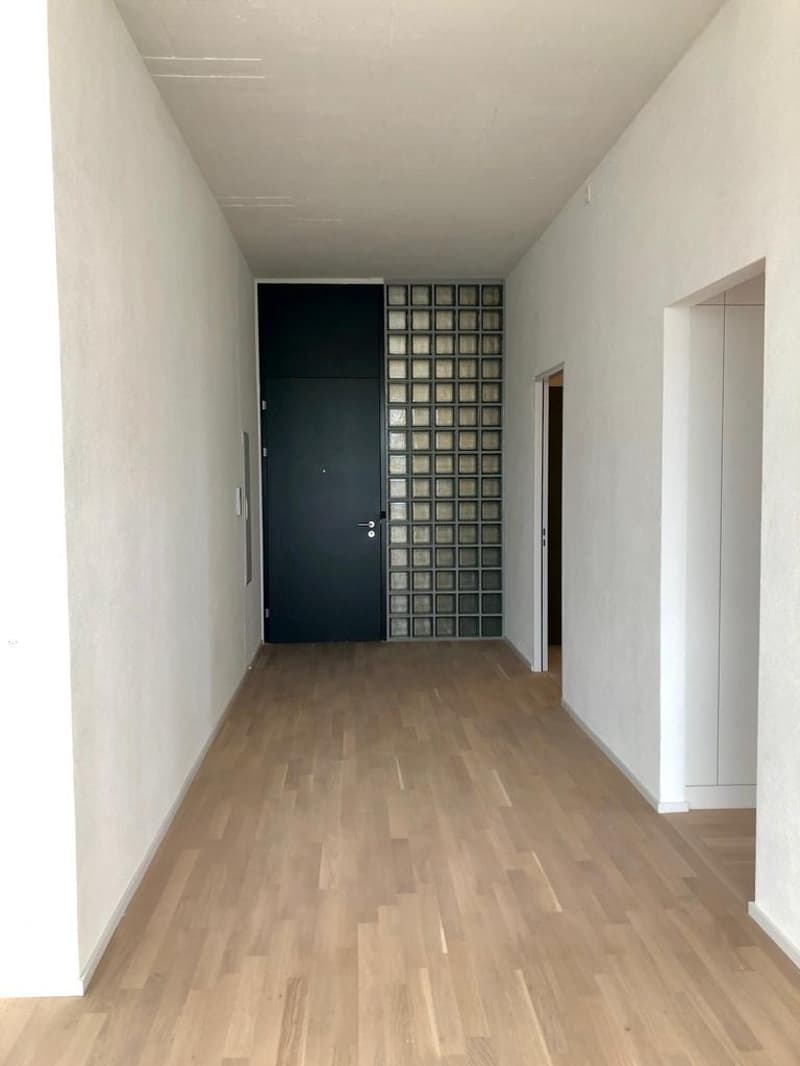 2.5 Zimmerwohnung im Herzen von Oerlikon (2)