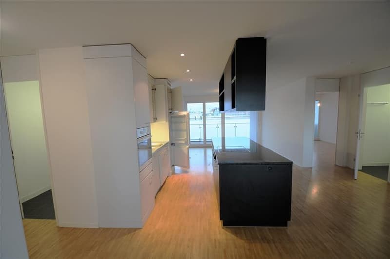 3.5 Zimmerwohnung im Herzen von Oerlikon (4)