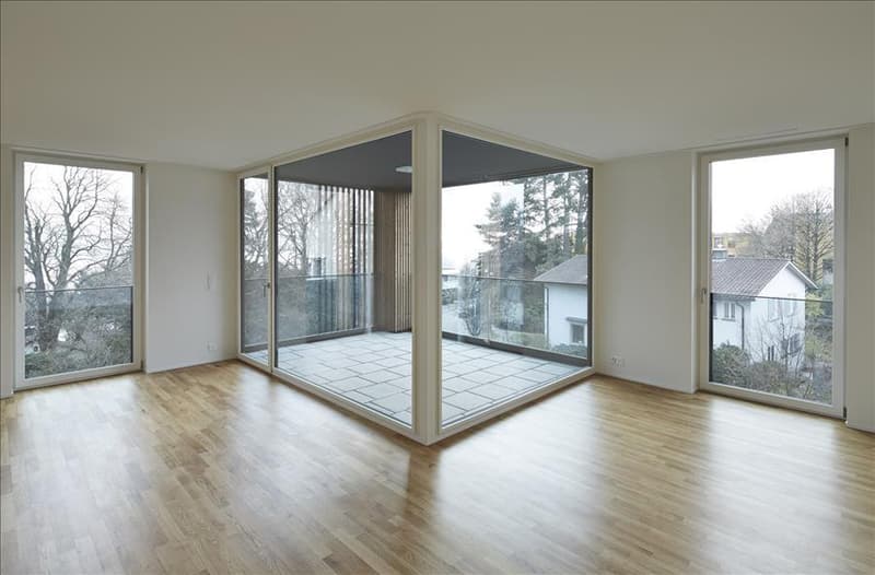 Wohnen mit viel Raum und urbanem Zürich-Flair (3)