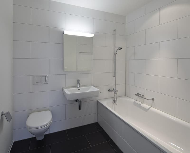 Wohnen mit viel Raum und urbanem Zürich-Flair (6)