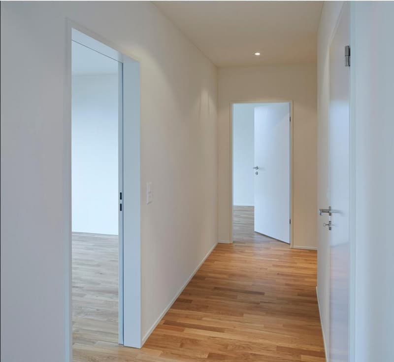Wohnen mit viel Raum und urbanem Zürich-Flair (2)