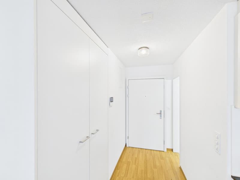 1 Zimmerwohnung im Herzen von Zürich (4)