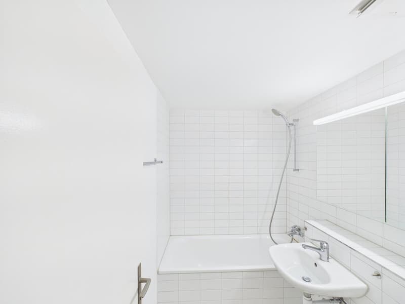 1 Zimmerwohnung im Herzen von Zürich (5)
