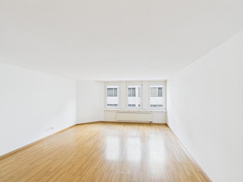 1 Zimmerwohnung im Herzen von Zürich (3)