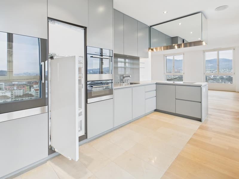 Modernes Maisonette-Loft an bester Lage in Zürich-Altstetten (4)