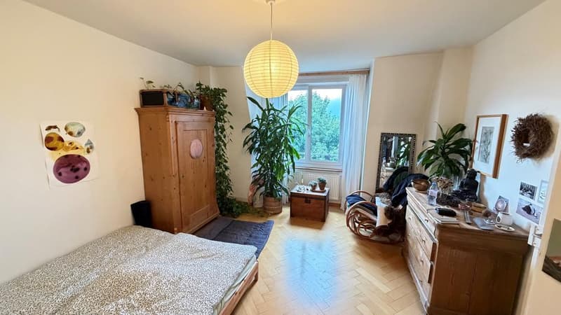 Charmante, 3-Zimmer-Wohnung an der Lehenstrasse 63 in Zürich (6)