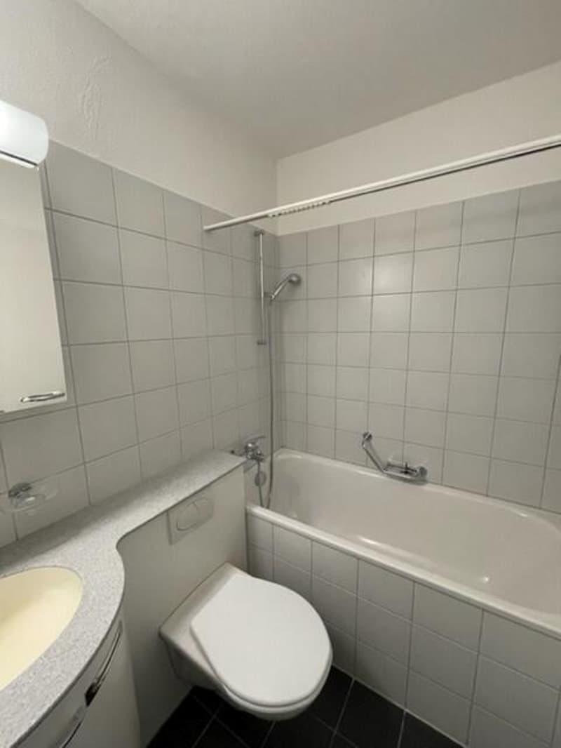 Grosszügige 4.5-Zimmer-Wohnung im Quartier Weinegg (4)