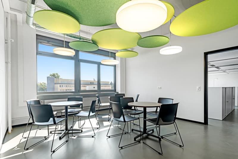 Extended and modern office space in an industrial look (6)
