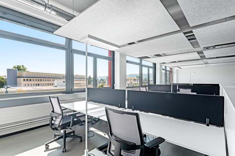 Extended and modern office space in an industrial look (3)