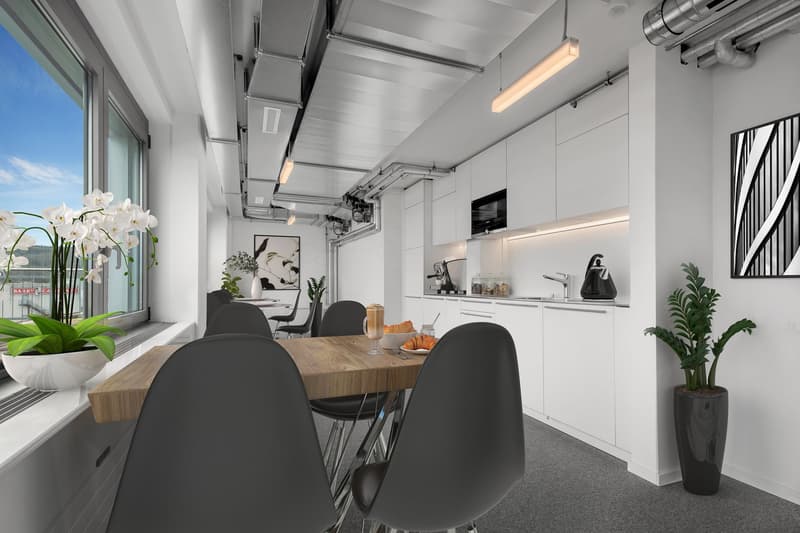 Spazio ufficio attraente con terrazza al piano attico (5)