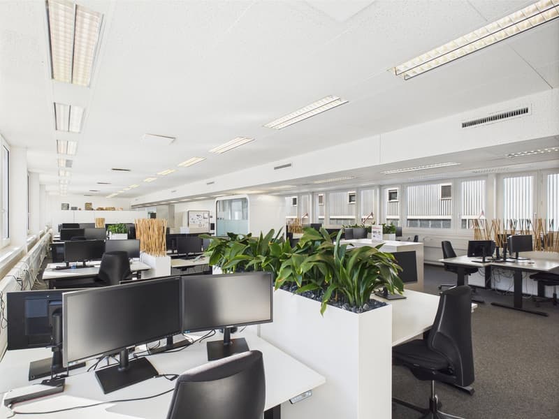 Open office space with multiple workstations, computer monitors, and potted plants. The office has a modern, minimalist design with white walls and ceiling, and black furniture.