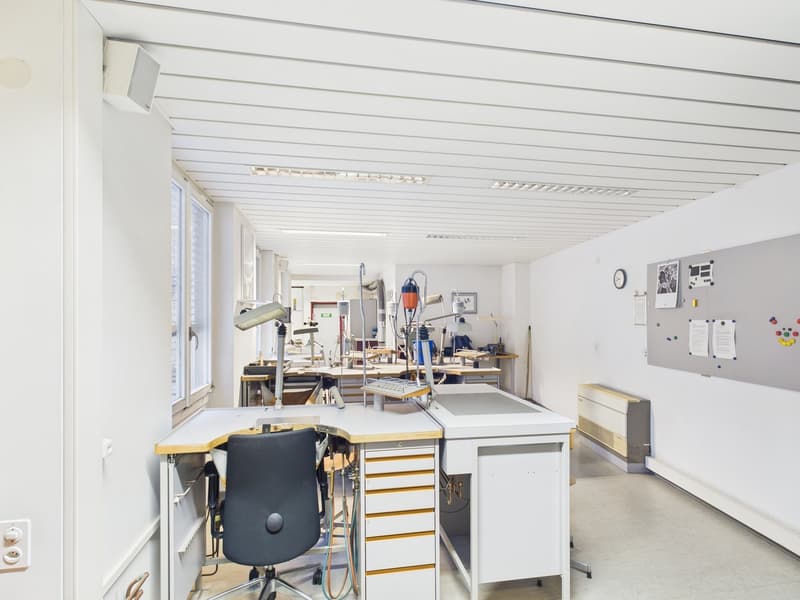 Inspirierende Atelier- und Werkstattfläche im Dachgeschoss - Bestlage Basel (4)