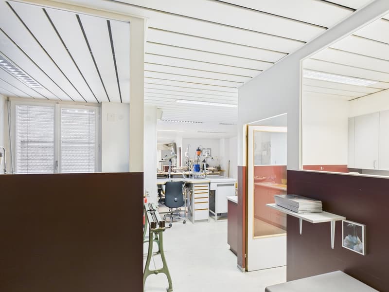 Inspirierende Atelier- und Werkstattfläche im Dachgeschoss - Bestlage Basel (7)