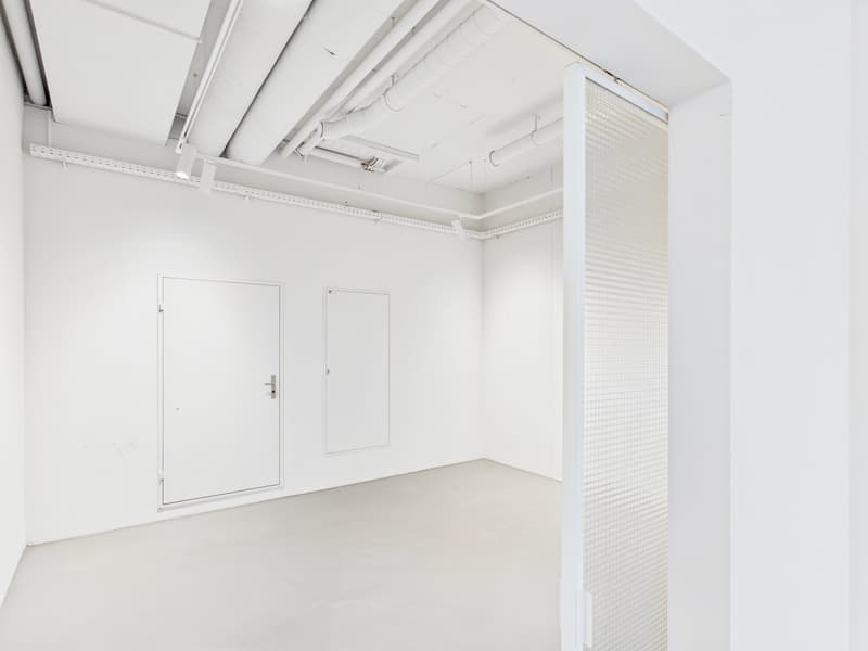 Moderne Ladenfläche mit hoher Visibilität an zentraler Lage in Wil (7)
