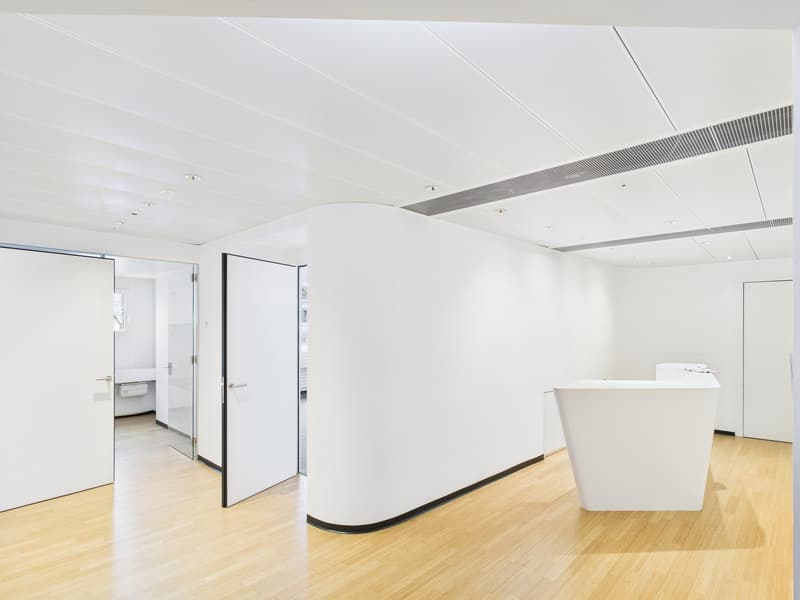 Générosité entièrement développée - espace de bureau à Zürich-Altstetten (3)