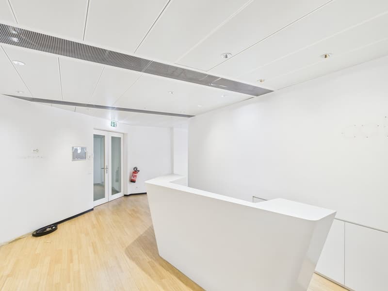 Générosité entièrement développée - espace de bureau à Zürich-Altstetten (2)