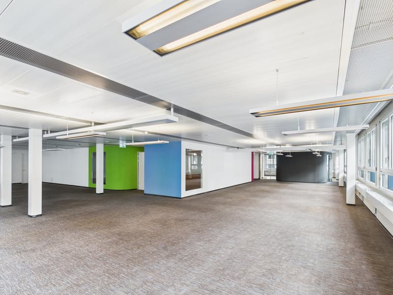 Vollausgebaute Grosszügigkeit - Bürofläche in Zürich-Altstetten (11)