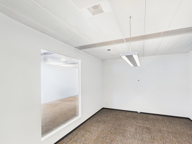 Générosité entièrement développée - espace de bureau à Zürich-Altstetten (13)