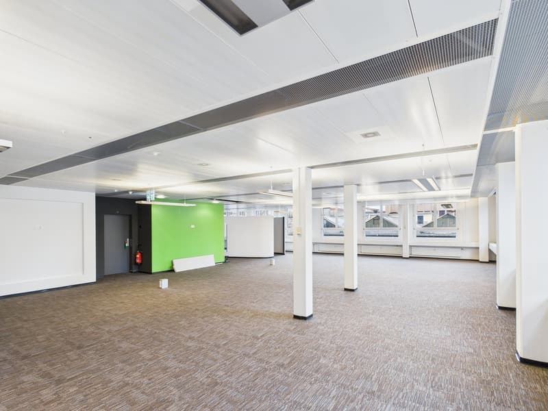 Générosité entièrement développée - espace de bureau à Zürich-Altstetten (21)
