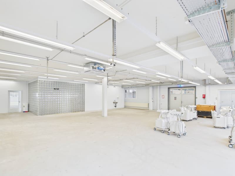 Moderne Produktionsfläche samt separater Bürofläche in Winterthur (2)