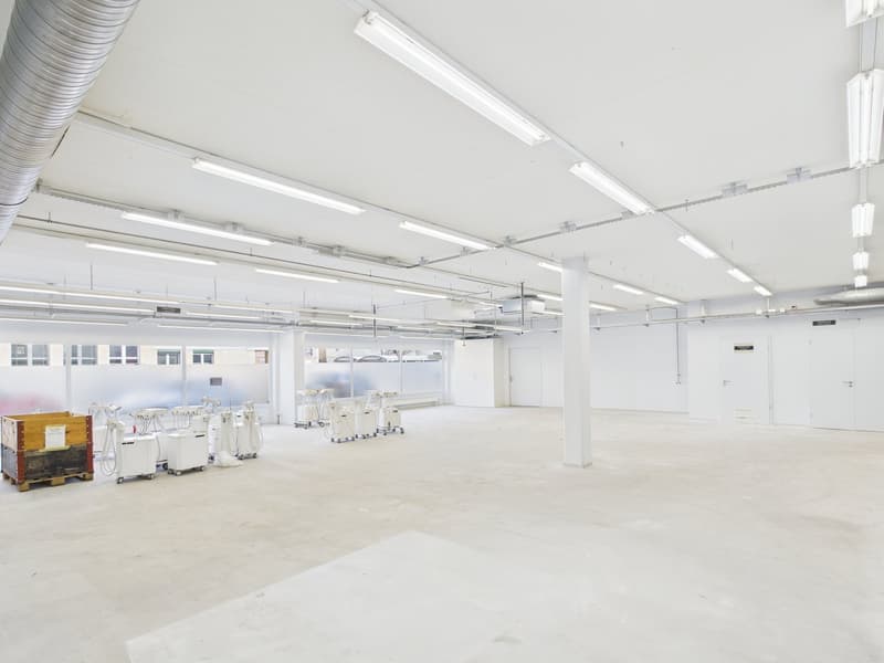 Moderne Produktionsfläche samt separater Bürofläche in Winterthur (3)