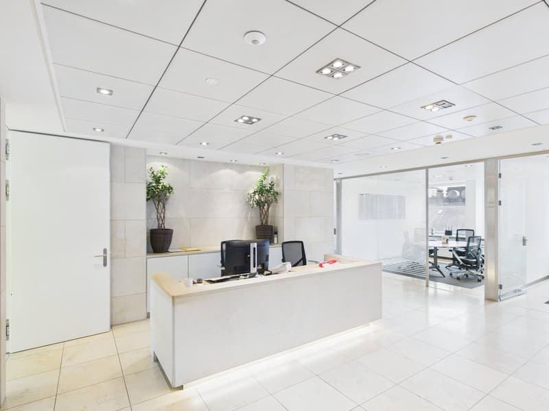Espace de bureau représentatif et élégant au cœur de Zurich (6)