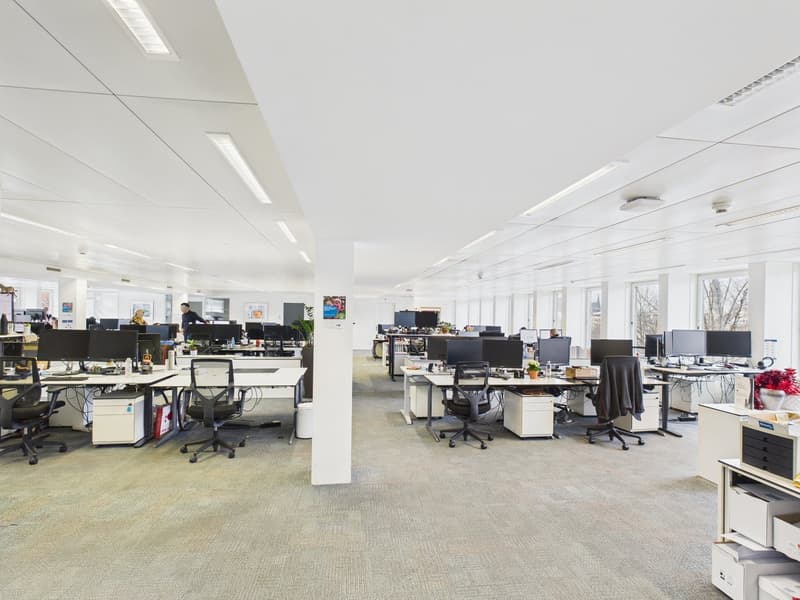 Espace de bureau représentatif et élégant au cœur de Zurich (14)