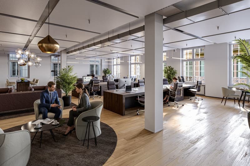 "Repräsentative Büro- Praxis- oder Fitnessfläche in prestigeträchtigem Gebäude im Herzen Basels" (6)