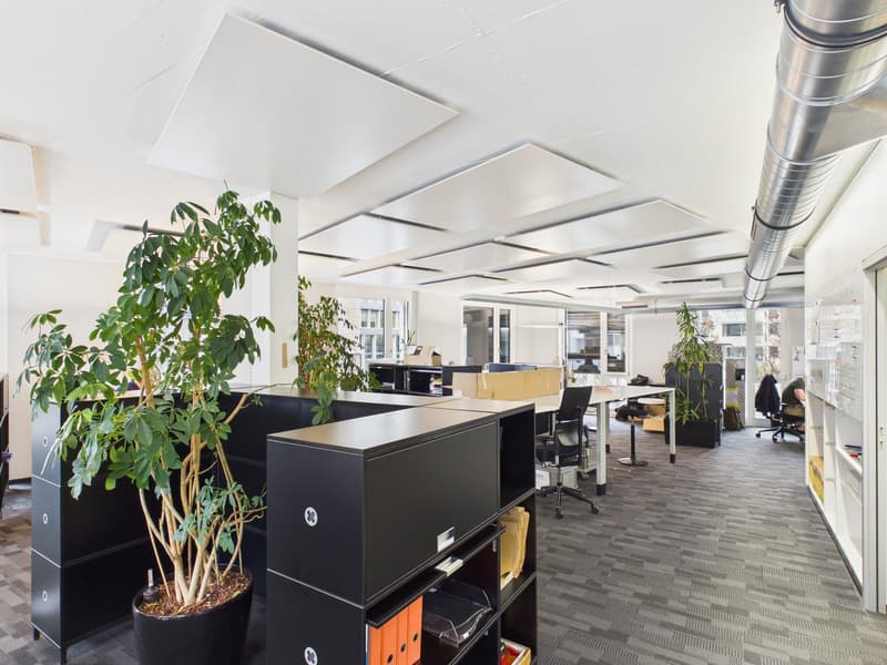 Modern office room with large windows, black storage units, potted plants, desks, and a carpeted floor.