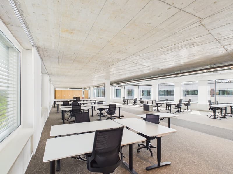 Arrive and get started — 1,190 m² fully developed top office available immediately (9)