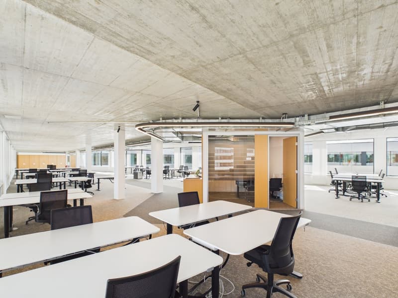 Arrive and get started — 1,190 m² fully developed top office available immediately (8)