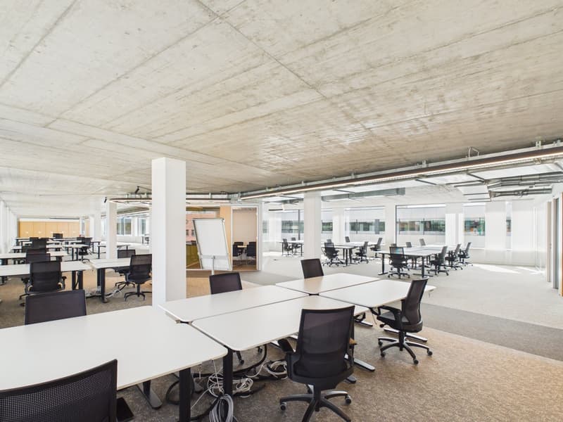 Arrive and get started — 1,190 m² fully developed top office available immediately (7)
