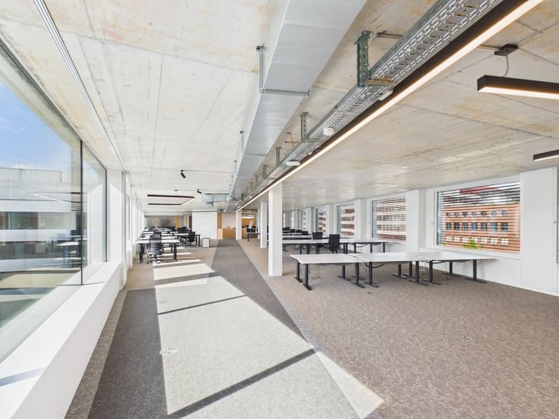Arrive and get started — 1,190 m² fully developed top office available immediately (12)
