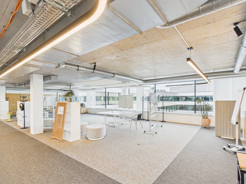 Arrive and get started — 1,190 m² fully developed top office available immediately (25)